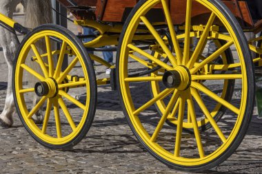 Geleneksel etkinlik eşleşmesinin ayrıntıları. Atlı güzel arabalar ve duruma uygun giyinmiş insanlar..