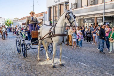 SAO BRAS DE ALPORTE, PORTUGAL - 4th MAY 2024: Period representation event of Carriage coupling traditional event with beautiful carriages with horses and person dressed for the occasion. clipart