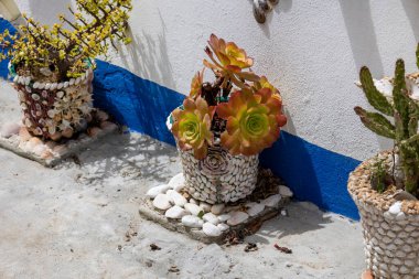 Close up view of a collection of vases with plants and objects encrusted with seashells. clipart