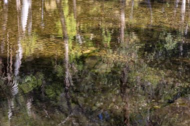 Su nehrindeki ağaçların yansımasına yakından bak..