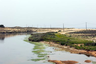 Portekiz 'in Algarve bölgesinde Armacao de Pera yakınlarındaki doğal bataklık manzarası.