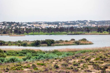 Portekiz 'in Algarve bölgesinde Armacao de Pera yakınlarındaki doğal bataklık manzarası.