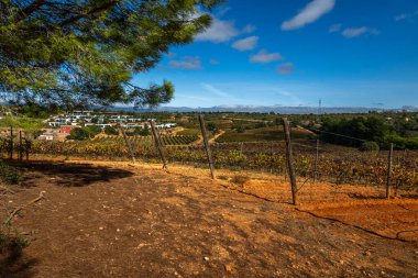 ESTOMBAR, PORTUGAL - 5. OCOTOBER 2024: Algarve bölgesinin dışındaki 