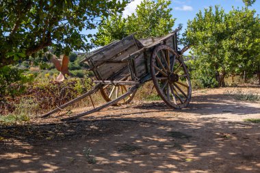 Terk edilmiş eski bir araba tekerleğinin yakın görüntüsü.