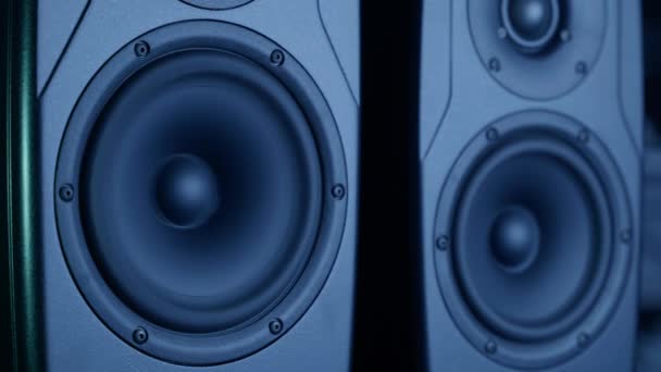 Аудиодинамики Вибрационной Мембраны Звукового Баса Замедленной Съемке Высококачественные Кадры — стоковое видео