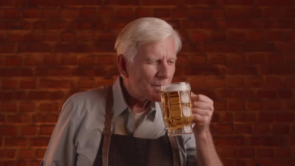 Odborník Pivovarnictví Kontroluje Kvalitu Čerstvě Napíchnutého Piva Kvalitní Záběry Zpomalený — Stock video