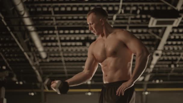 在体育馆举行的体育竞赛中 一名赤身裸体男子一边举着哑铃一边展示自己的肌肉 一边把注意力集中在胸部 肘部和腹部肌肉上 — 图库视频影像