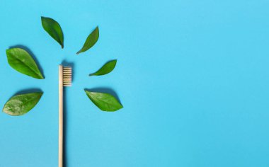 Ecological wooden toothbrush and fresh green leaves on a blue background. The concept of dental health care and the use of environmentally friendly materials. Free space for text