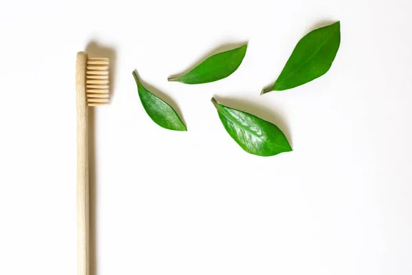 Ecological Bamboo Toothbrush Fresh Green Leaves White Background Concept Dental — Stock Photo, Image