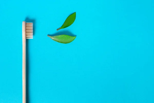 Ecological Wooden Toothbrush Fresh Green Leaves Blue Background Concept Dental — Stock Photo, Image