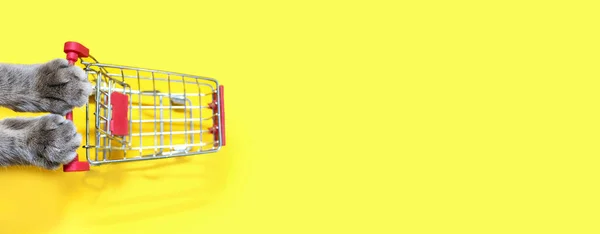 Kočičí Pracky Tlačí Nákupní Vozík Supermarketu Žlutém Panoramatickém Pozadí Koncept — Stock fotografie