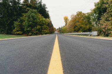 Ağaçların arka planında sarı işaretli asfalt yol. Kırsal kesimdeki ağaçlar arasındaki yol. Çatlaksız ve deliksiz gri asfalt. Seyahat ve özgürlük kavramı