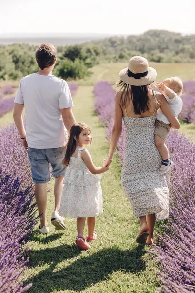 A happy family walks in a blooming purple lavender field. A mother holds her son in her arms and a daughter holds her parents\' hands while walking through a lavender meadow in Provence. Summer walk
