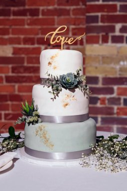 Yeni evliler için güzel bir düğün pastası. Üç katlı beyaz bir pastada sulu bitkiler olan basit bir düğün pastası. Üstünde 