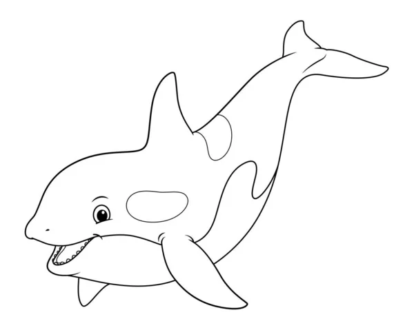 Φάλαινα Δολοφόνος Εικονογράφηση Ζώων Κινουμένων Σχεδίων — Διανυσματικό Αρχείο
