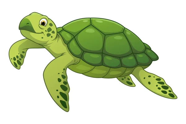 Deniz Kaplumbağası Hayvan Çizimi — Stok Vektör