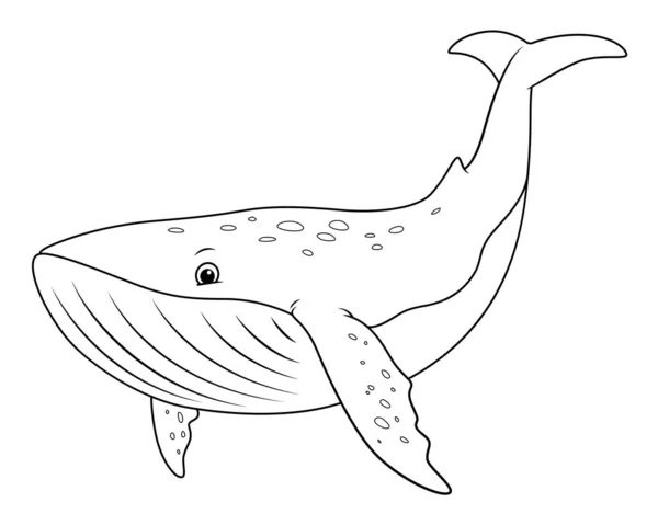 Desenhos Animados Baleia Azul Ilustração Animal — Vetor de Stock