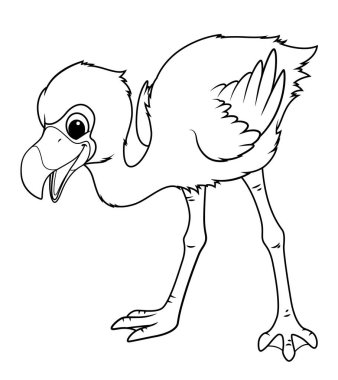 Küçük Flamingo Çizgi Filmi Hayvan Çizimi BW