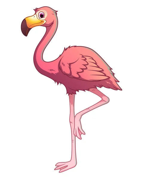 Flamingo Tecknad Djurillustration — Stock vektor