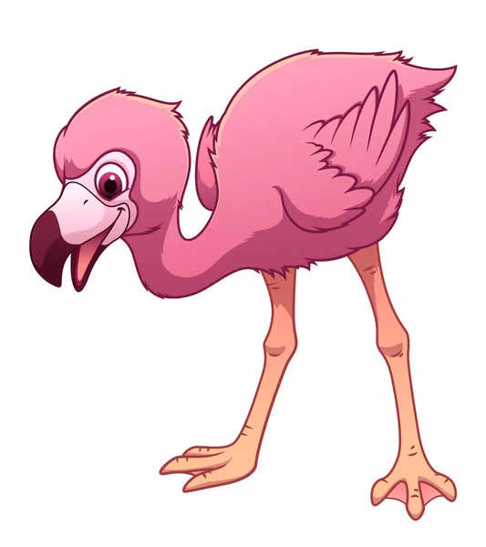 Küçük Flamingo Çizgi Filmi Hayvan Çizimi — Stok Vektör