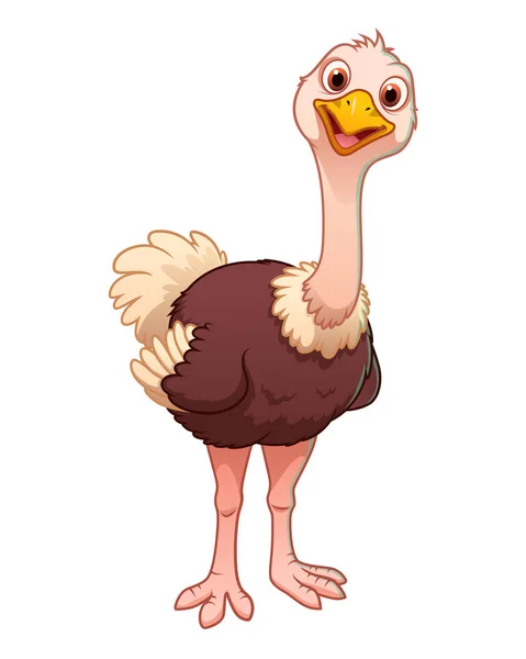 Little Ostrich Cartoon Animal Illustration — Stock Vector