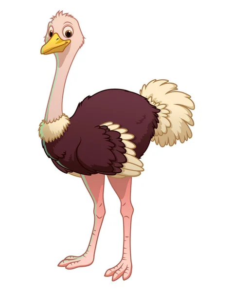 Ilustração Animal Dos Desenhos Animados Avestruz —  Vetores de Stock