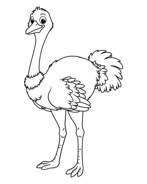 Struisvogelspotprent Dierenillustratie — Stockvector