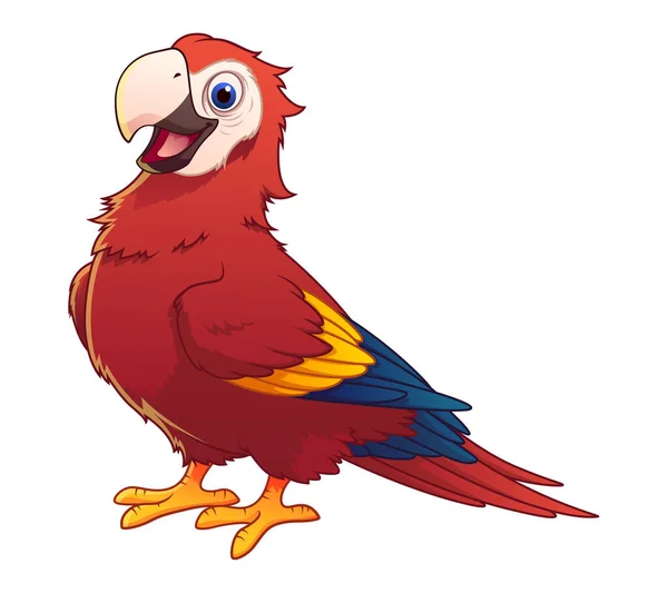 Scarlet Macaw Tecknad Djur Illustration — Stock vektor
