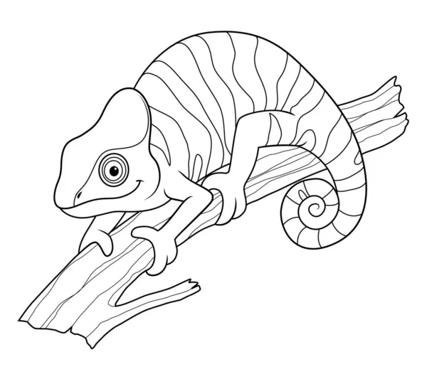 Panther Chameleon Εικονογράφηση Ζώων Κινουμένων Σχεδίων — Διανυσματικό Αρχείο