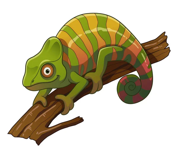 Panther Chameleon Cartoon Animal Illustration - Stok Vektor