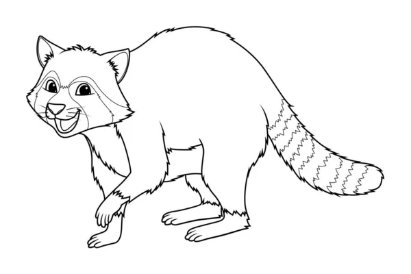Raccoon Cartoon Animal Illustration — Stock Vector