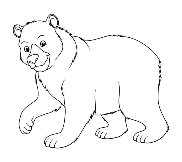 棕熊卡通动物图解Bw — 图库矢量图片