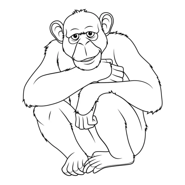 黑猩猩卡通动物图解Bw — 图库矢量图片