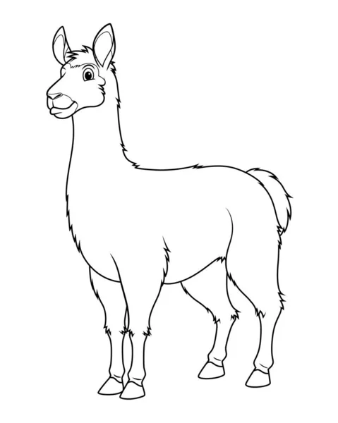 Llama Dibujos Animados Animal Ilustración — Vector de stock