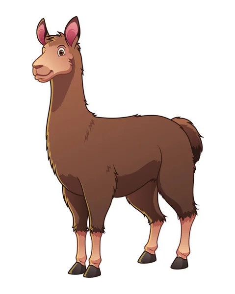 Llama Cartoon Animal Illustration — 스톡 벡터
