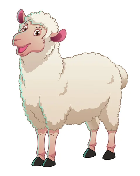 Λευκή Απεικόνιση Ζώων Κινουμένων Σχεδίων Πρόβατα — Διανυσματικό Αρχείο
