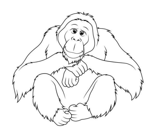 Орангутанг Мультфільм Ілюстрація Тварин — стоковий вектор