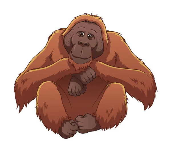 Orangutan Cartoon Animal Illustration — Stockový vektor