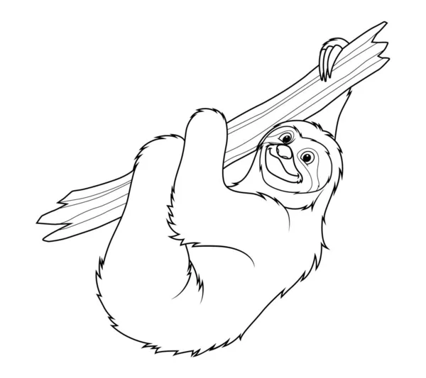 Εικονογράφηση Κινουμένων Σχεδίων Sloth Ζώων — Διανυσματικό Αρχείο