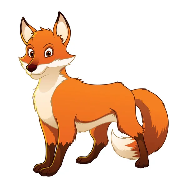 Red Fox Cartoon Animal Illustration — Stockový vektor