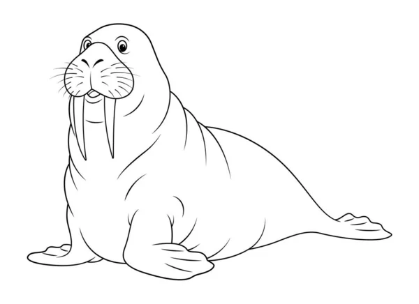 Walrus Cartoon Animal Εικονογράφηση — Διανυσματικό Αρχείο