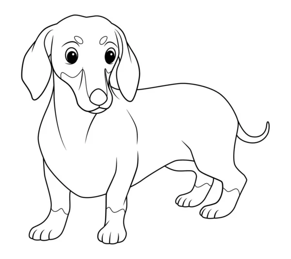 Dachshund Perro Dibujos Animados Animal Ilustración — Vector de stock