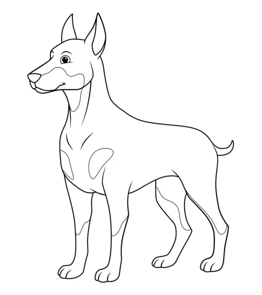 Doberman Dog Cartoon Animal Illustration — Stockový vektor