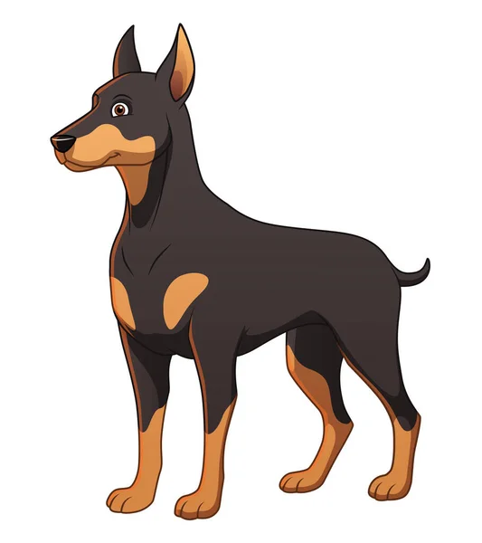 Εικονογράφηση Ζώων Κινουμένων Σχεδίων Doberman Dog — Διανυσματικό Αρχείο