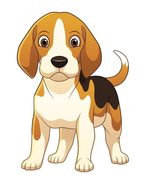 Pequeño Beagle Perro Dibujos Animados Animal Ilustración — Vector de stock