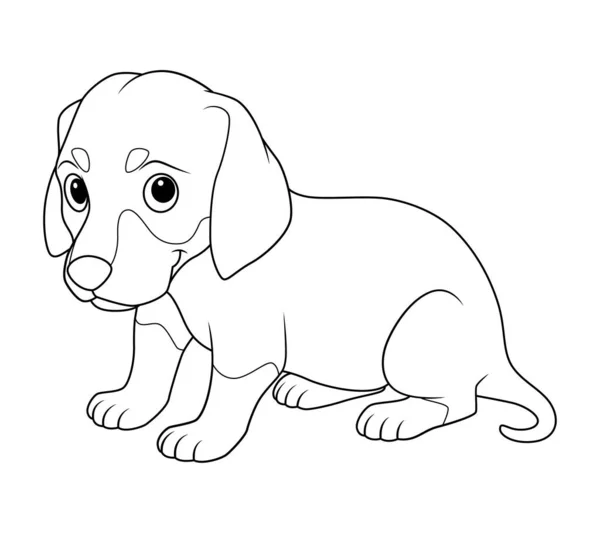 Little Dachshund Dog Desen Animat Animal Illustration — Vector de stoc