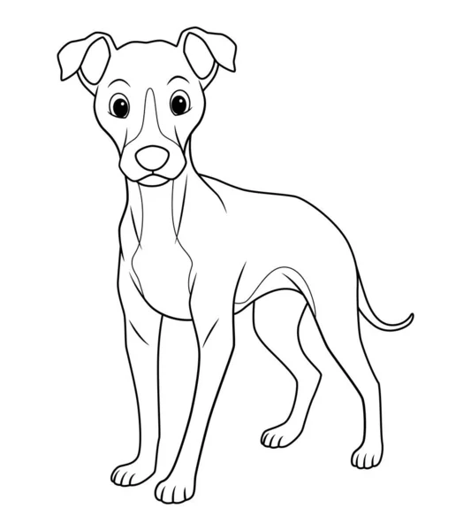 Kleine Greyhound Hond Cartoon Dier Illustratie — Stockvector