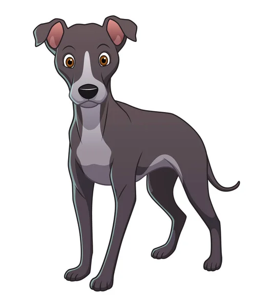 Little Greyhound Dog Cartoon Animal Illustration — Stockový vektor