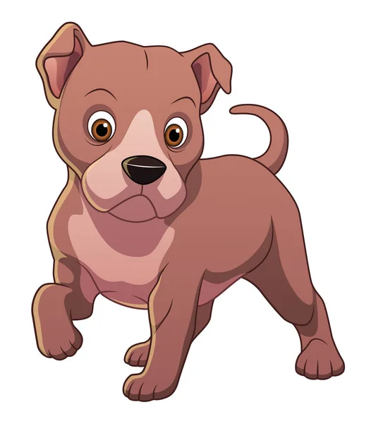 Pequeño Perro Pitbull Dibujos Animados Animal Ilustración — Vector de stock