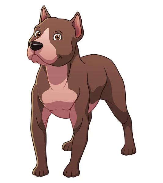 Pitbull Dog Cartoon Animal Illustration — Stockový vektor